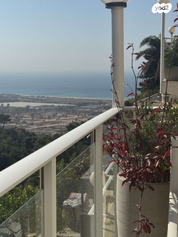 דירת גן, יוסף שכטר, אחוזה, חיפה