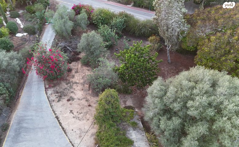 מגרשים, שדמה