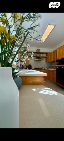 דירת גן, יוסף שכטר, אחוזה, חיפה