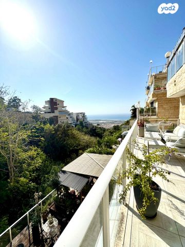 דירת גן, יוסף שכטר, אחוזה, חיפה