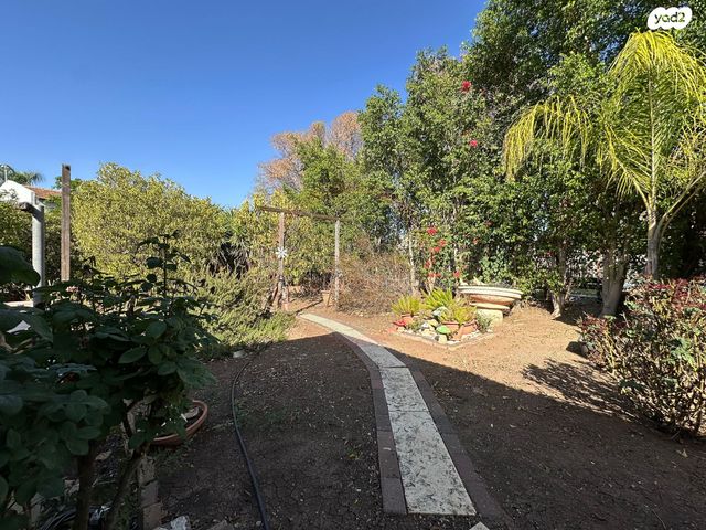 דירה, צאלון, עפולה הצעירה, עפולה