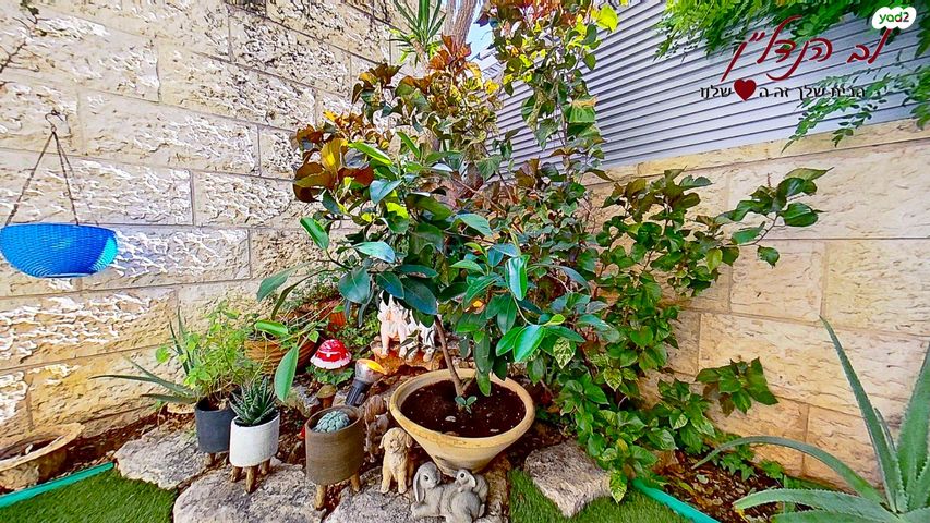 דירת גן, אלישע הנביא, הנביאים, מודיעין מכבים רעות