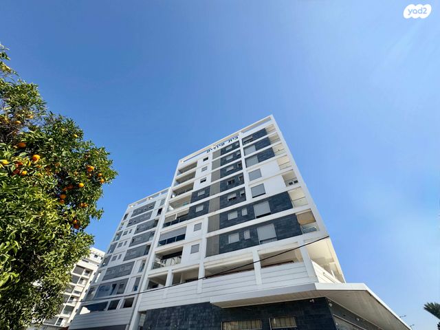 יהושע חנקין 