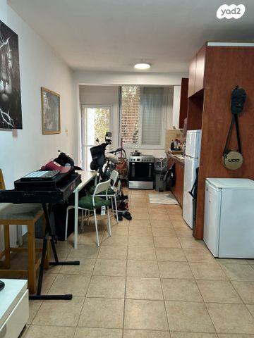 יחיאל מיכל פינס 