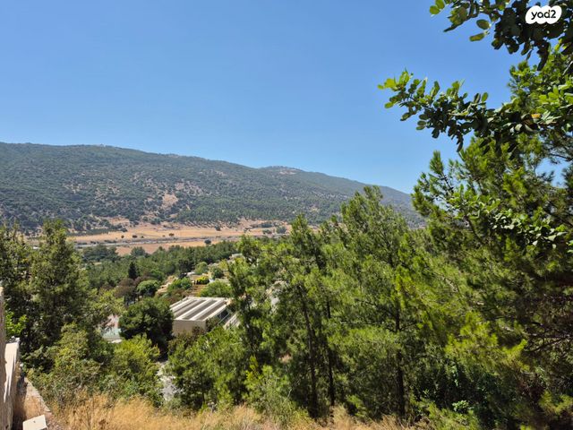 דו משפחתי, קרית טבעון