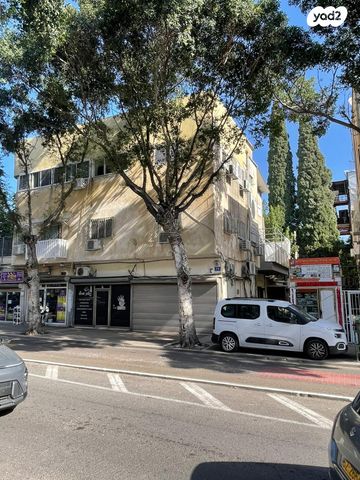 דירה, הרצל 79, יל"ג, חיפה