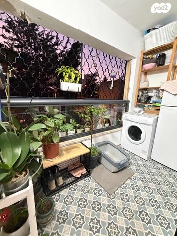 הרב משאש יוסף 