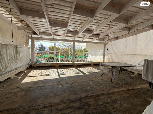 אלעזר בן יאיר 