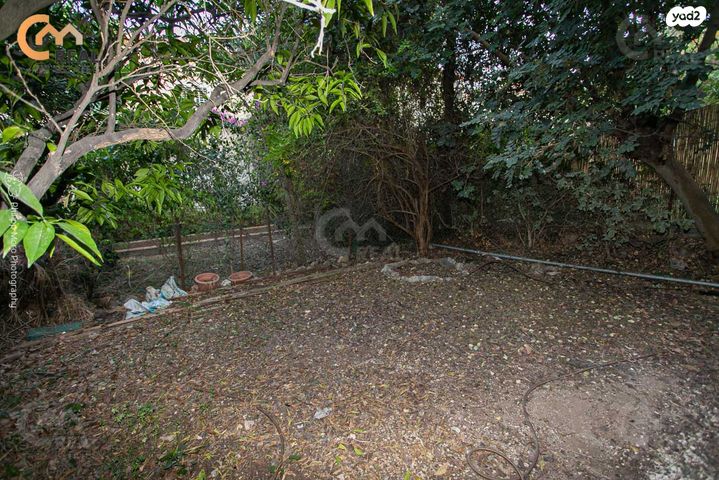 דירה, שדרות הל"ה, רמות רמז, חיפה