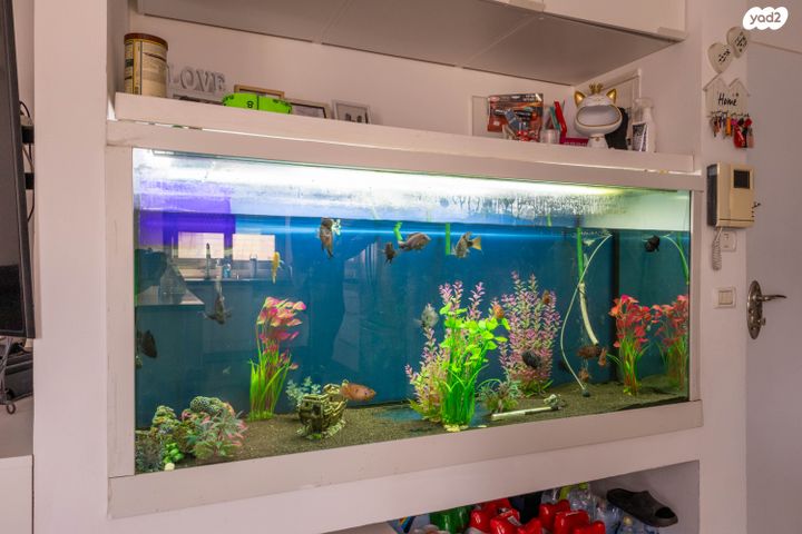 דירה, שדרות רובע יזרעאל 20, רובע יזרעאל סביוני העמק, עפולה