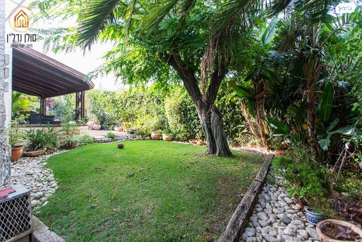 הוד הכרמל, דניה