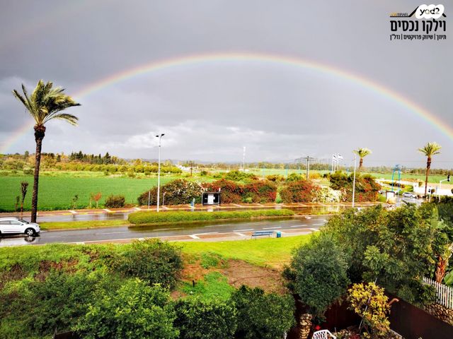 דירה, הצבעוני, נאות אשכול, יבנה