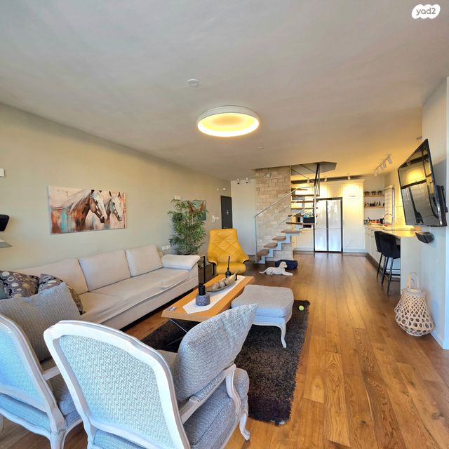 גג/ פנטהאוז, יהושע רבינוביץ, בן גוריון, חולון