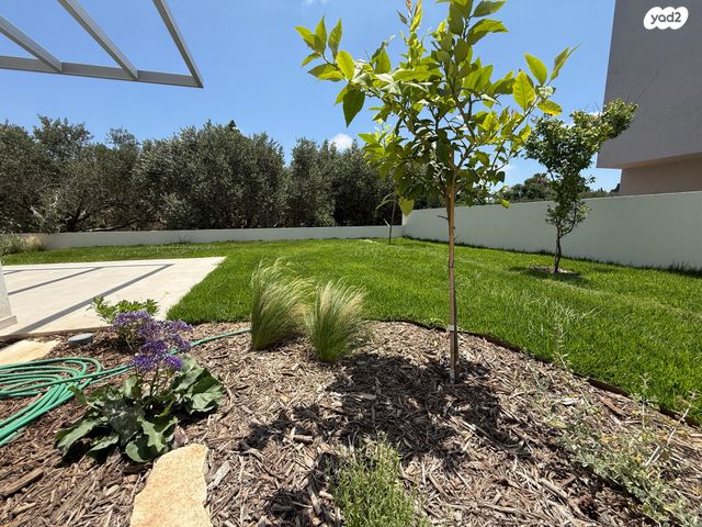 דו משפחתי, מושבה מרכז, זכרון יעקב