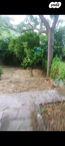 דו משפחתי, גבעת נשר, נשר