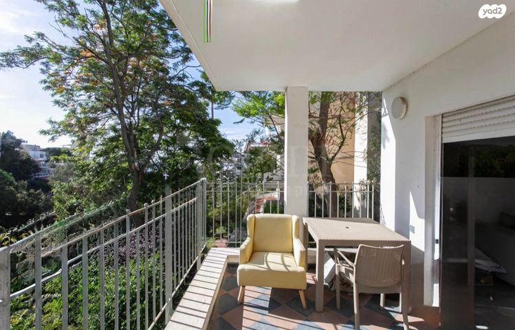 דירה, כרמליה, חיפה