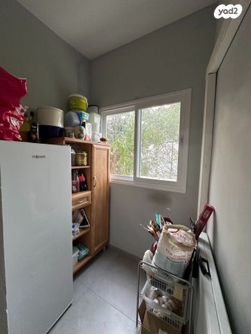 דירה, הגפן, המושבה הגרמנית, חיפה