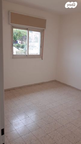 דירה, יסמין, כרמיאל