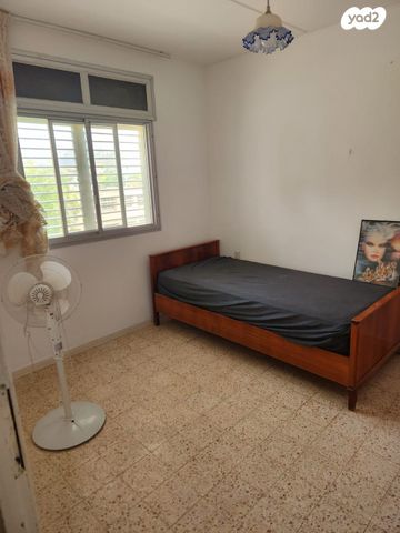 דירה, נרקיסים, טירת כרמל