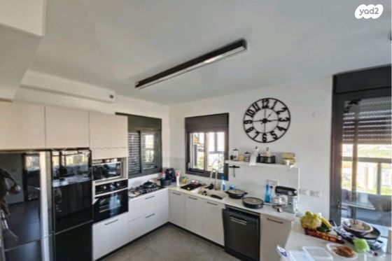 גג/ פנטהאוז, תל אביב יפו