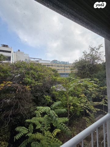 דירה, שדרות אליהו גולומב, הדר עליון, חיפה