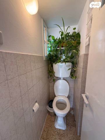 גג/ פנטהאוז, אוסישקין, הצפון הישן - צפון, תל אביב יפו