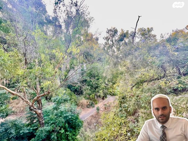 דירה, זלמן שניאור, רמות רמז, חיפה