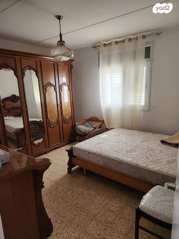 דירה, נרקיסים, טירת כרמל