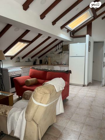 גג/ פנטהאוז