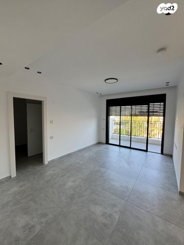 הרב יצחק הלוי 