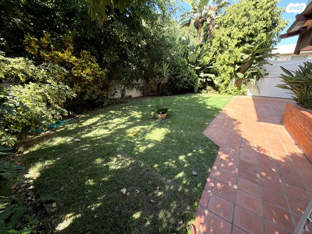 הרצליה פיתוח