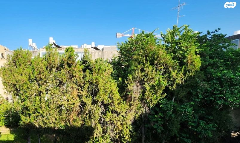 דירה, גולן, רמת השרון