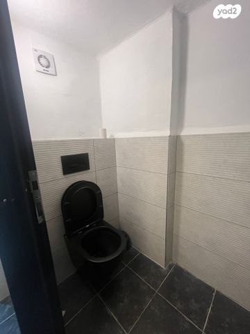 כללי, ירושלים, חיפה