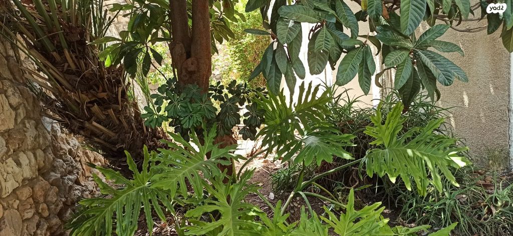 חנויות/ שטח מסחרי, תל חנן, נשר