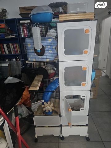 תמונת מודעה - חיות מחמד