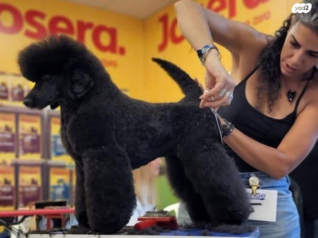 תמונת מודעה - חיות מחמד