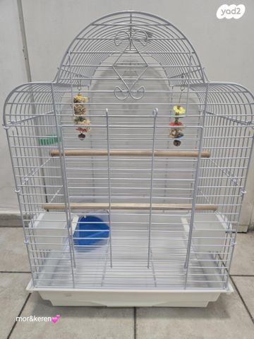 תמונת מודעה - חיות מחמד