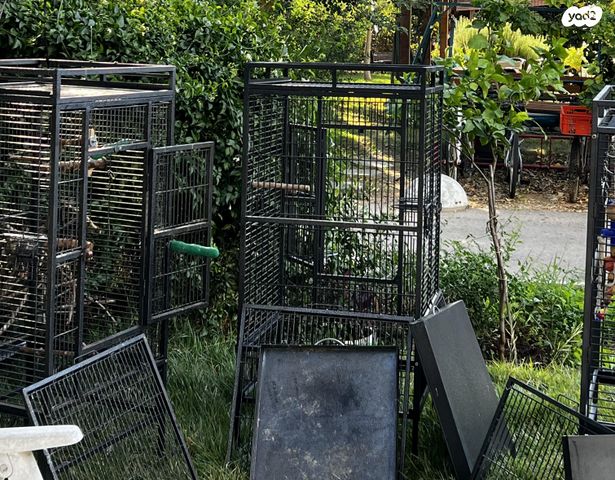 תמונת מודעה - חיות מחמד