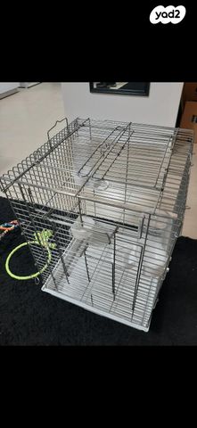 תמונת מודעה - חיות מחמד