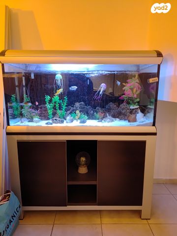 תמונת מודעה - חיות מחמד