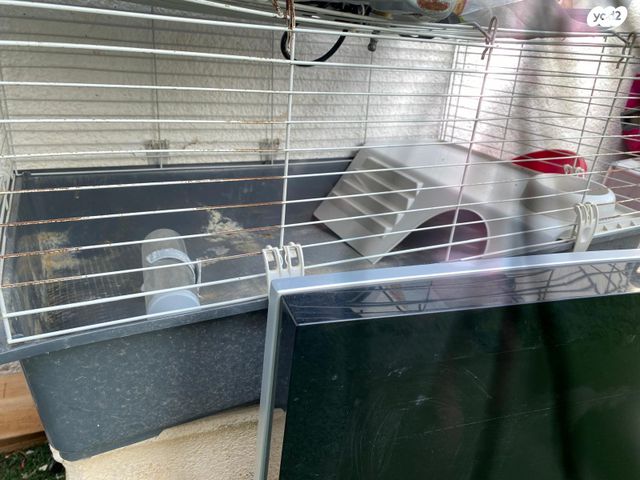 תמונת מודעה - חיות מחמד