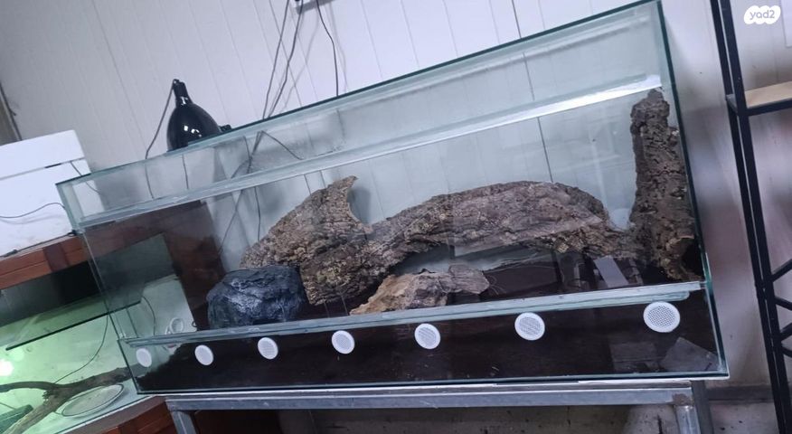 תמונת מודעה - חיות מחמד