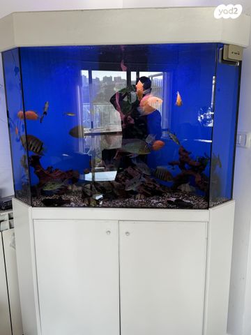 אביזרים | אקווריום