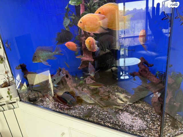 אביזרים | אקווריום