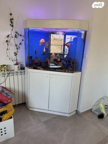 אביזרים | אקווריום