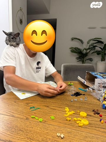 מכרסם צ'ינצ'ילה