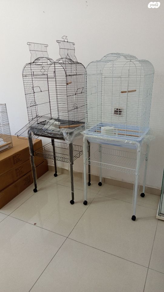 תוכי קאקריקים