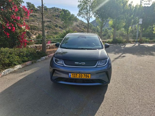 בי.ווי.די דולפין