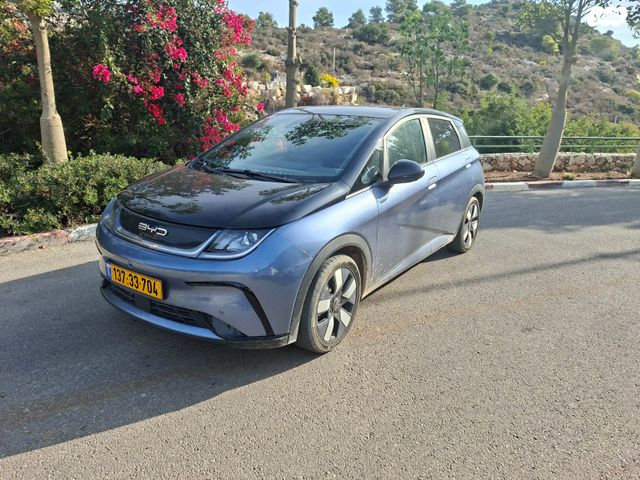 בי.ווי.די דולפין