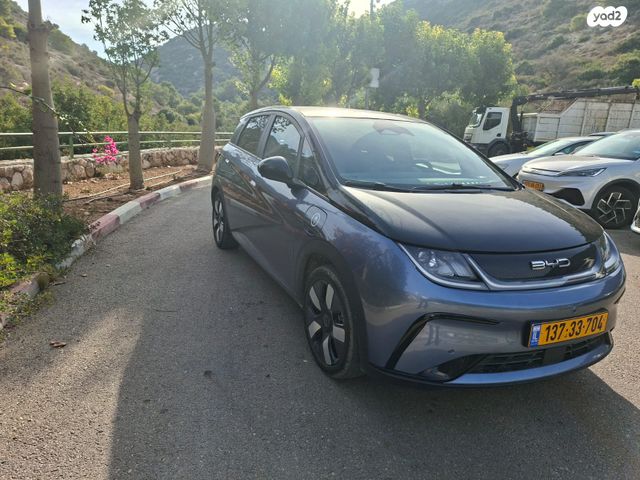 בי.ווי.די דולפין